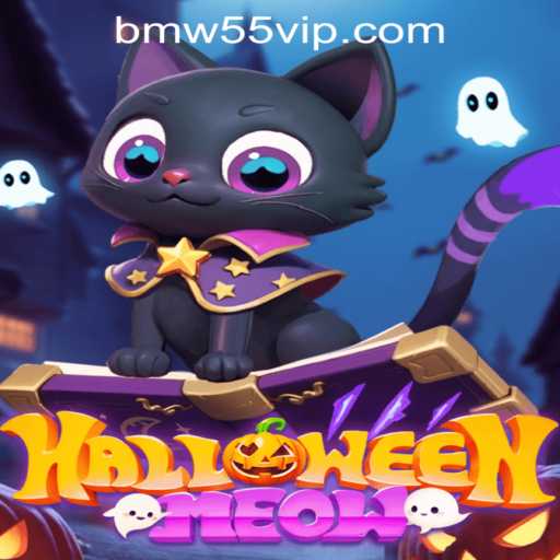HalloweenMeow A Spooky Adventure