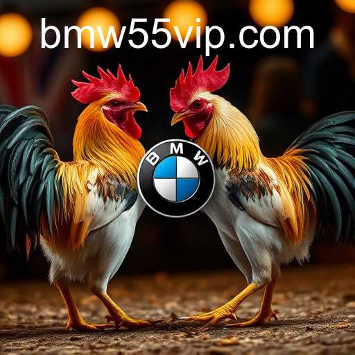 BMW55 VIP